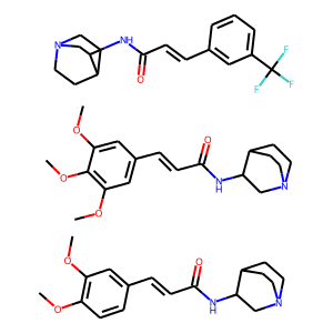 β-Glucanase 2, thermostable