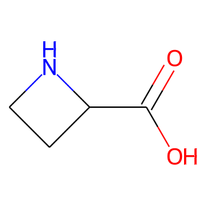 L-Azetidine-2-carboxylic acid